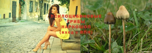 винт Касимов
